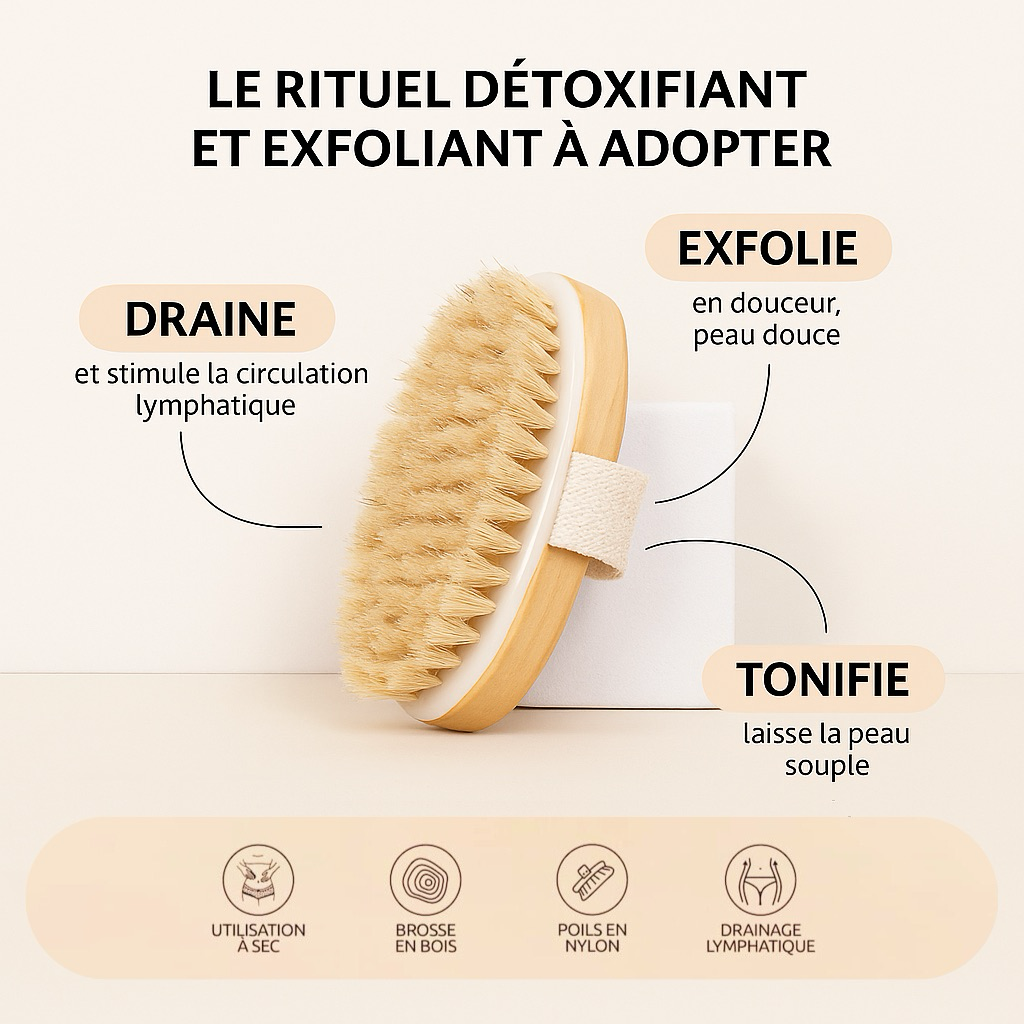 Brosse à sec corps